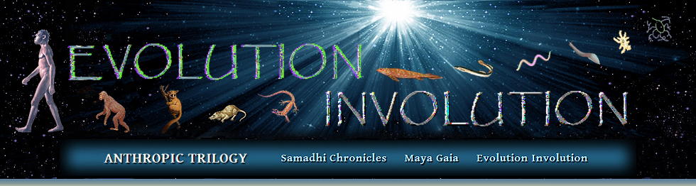 evolution involution introduction